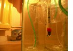 100_2187.JPG