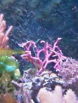 IMAG0225.jpg
