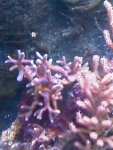 IMAG0226.jpg