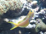 mini-IMG_2819.jpg