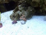 DSCF1463.jpg