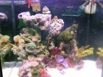 DSCF1469.jpg