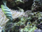 mini-IMG_2813.jpg