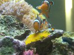 100_2370.JPG