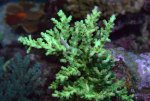 DSC01409.jpg
