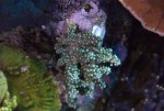 DSC01413.jpg