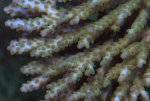 DSC01423.jpg