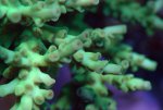 DSC01433.jpg