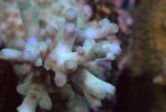 DSC01434.jpg