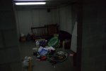 DSC01375.jpg