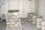 DSC01438.jpg