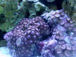 DSCF1529.jpg