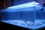 aquarium 002 [].JPG