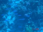 DSC01458.JPG
