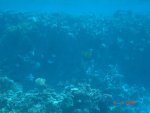 DSC01460.JPG