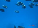 DSC01490.JPG