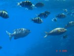 DSC01491.JPG