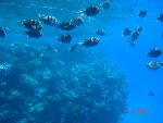 DSC01499.JPG