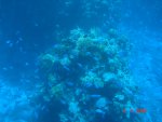 DSC01554.JPG