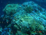 DSC01563.JPG