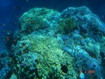 DSC01564.JPG