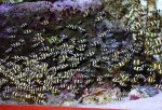 DSCN1691.JPG
