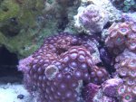 DSCF1618.JPG