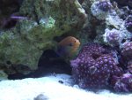 DSCF1648.jpg