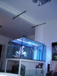 DSC01555.JPG