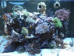 S2010006 (2).JPG