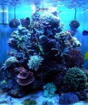P1040079.jpg