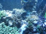 S2010003.JPG