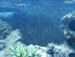 S2010004.JPG