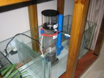 IMG_5866.JPG