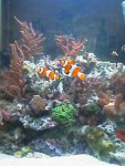 IMAG0253.jpg