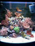 IMAG0259.jpg