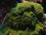 DSC02184.JPG