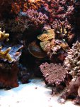 DSC02185.JPG