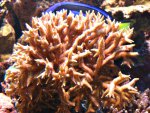 DSC02213.JPG