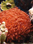 DSC02210.JPG