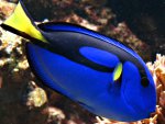 DSC02171.JPG