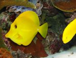 DSC02123.JPG