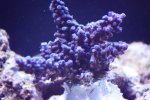 d.jpg