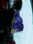 IMAG0272.jpg