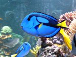 DSC00032.JPG