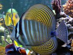 DSC00030.JPG