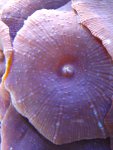 DSC00022.JPG