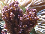 DSC00020.JPG