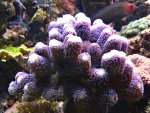DSC00019.JPG