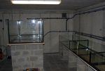 DSC01451.jpg